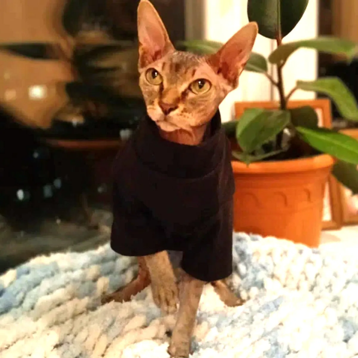 Sphynx Cat Fleece Sweater - Black